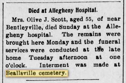 Olive J. Scott